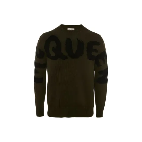 Alexander McQueen Хаки Мужские Свитера