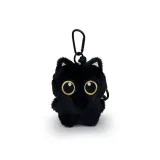 Маленький черный кот с ремешком с пряжкой против потери