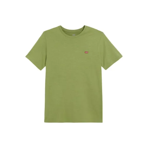 Levis Шалфейно-зеленые Мужские T-рубашки
