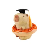 Dr. Капибара: Пончик, дизайн, светло-зеленый