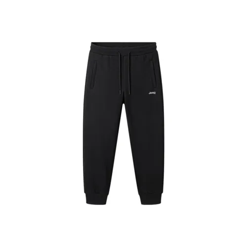 JEEP Pasture Horse Lifestyle Повседневные брюки Мужские Черные