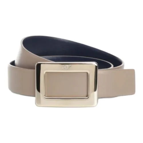 Roger Vivier Телячья кожа Кожаные ремни Женские Коричневый