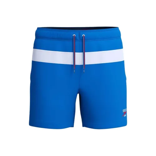 Мужские пляжные шорты Speedo