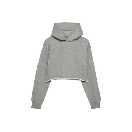 ARITZIA Вереск Темно-серый Женские Свитшоты