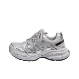 Серебристо-черный