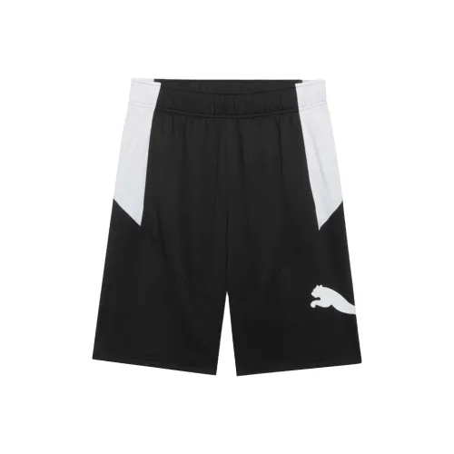 PUMA TRAINDRYCELL Спортивные шорты Мужские Черный Белый