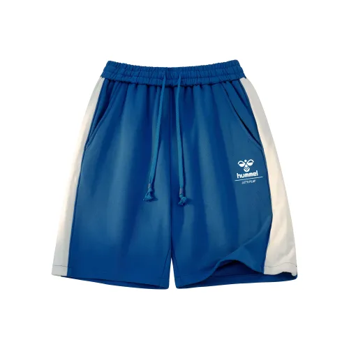 Hummel Унисекс Повседневные шорты