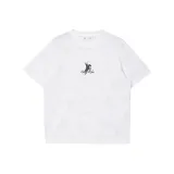 A06 Натуральный белый