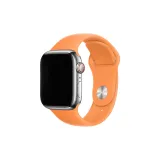 Маргаритка Многоцветная (Только ремешок)