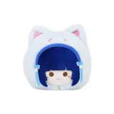 Си Ши Призрачный Veil Spirit Позиционирование стиля