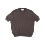 Кофейный цвет верблюда