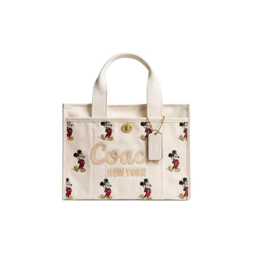 COACH Disney Collaboration Cargo Canvas Tote Bag Shopping Bag Shoulder Bag Crossbody Bag Medium Women's