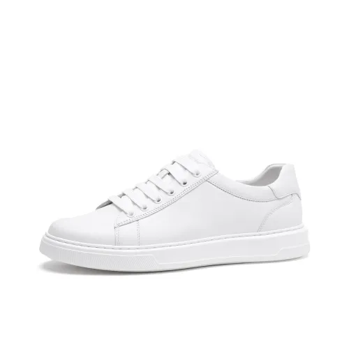 ELLE HOMME Скейтборд Кроссовки Мужские Белые