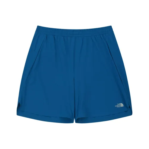 The North Face Повседневные шорты Мужские Submerged Aqua Blue