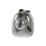 Прозрачный