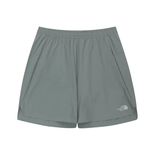The North Face THE NORTH FACE Apparel Collection Серый Мужские спортивные шорты