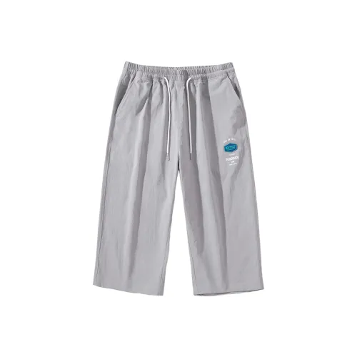 PIERRE CARDIN Повседневные шорты Мужские