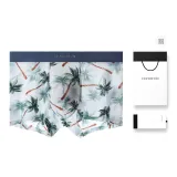 Кокосовая пальма