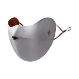 Кошка, ухо, стиль позиционирования — серебристо-серый