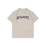 Цвет серой чайки