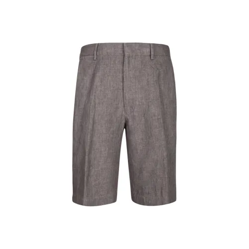 Ermenegildo Zegna Коричневые Мужские Повседневные Шорты