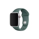 Зелёный (Только ремешок)