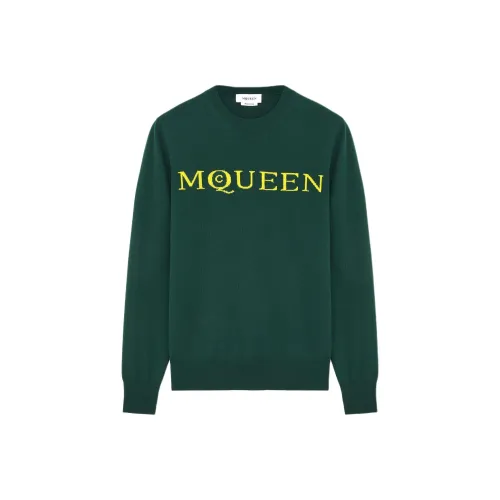 Alexander McQueen Зеленые Мужские Свитера