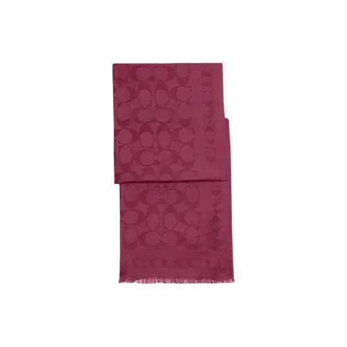 COACH Палантины Унисекс