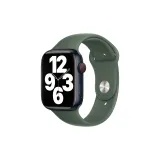 Новый оливковый (только ремешок)