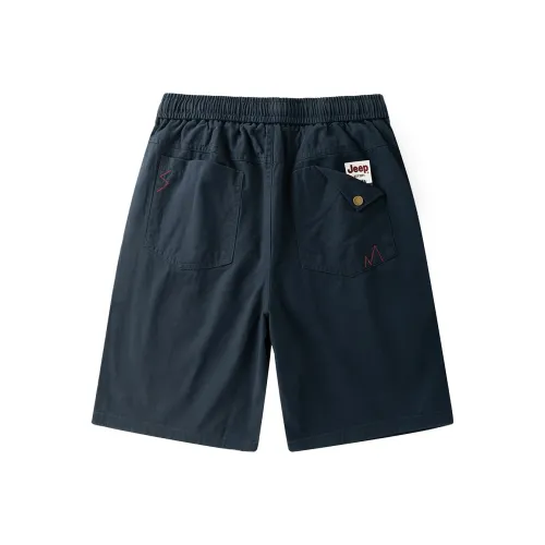 JEEP Унисекс Повседневные шорты