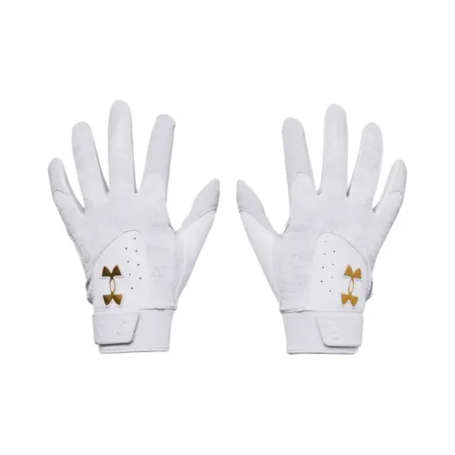 Under Armour Перчатки для мужчин на официальном сайте