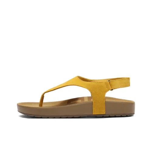 Белль Тост 2 One Ремень Сандалии 2,5 см Женские