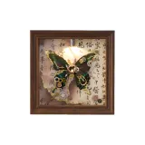 [Национальный стиль - Коричневая рамка](с Spotlights)