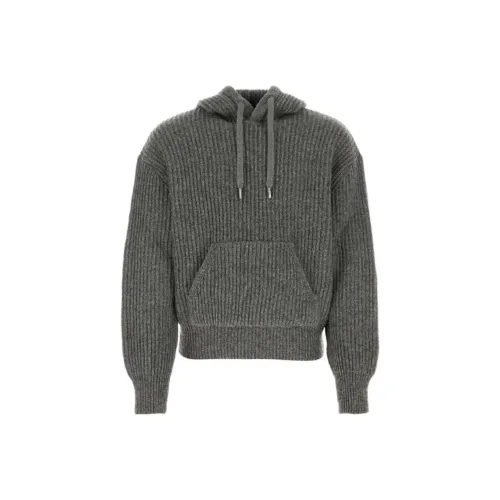 AMIPARIS Серый Мужской Трикотаж