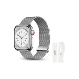 Двойные магнитные пряжки [Серебряный + Белый лунный свет коробка]