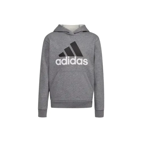 Adidas Детская одежда ESS Htr FLC Капюшон Пуховик 23 Толстовка Детский Серый