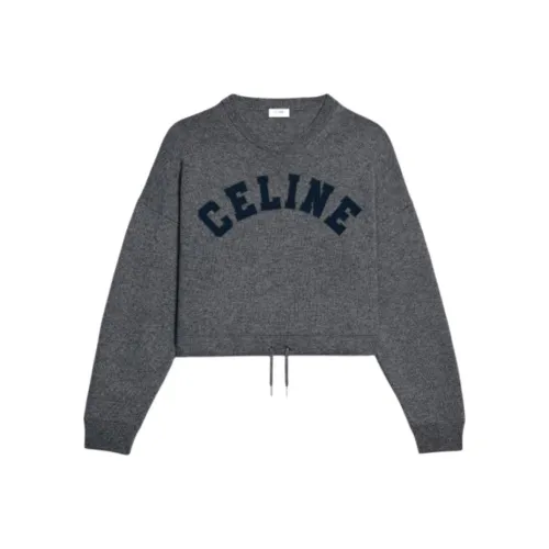CELINE FW22 Толстовка Женская Серого цвета