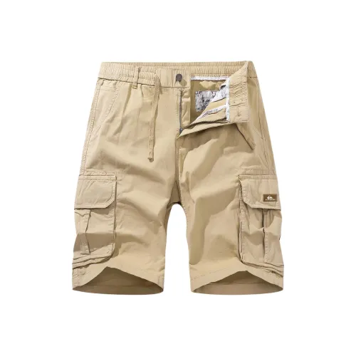 Quiksilver Мужские Повседневные Шорты