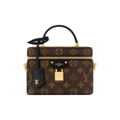 LOUIS VUITTON Vanity Покрытый холст Сумка через плечо Сумка Маленькая Женская Коричневая