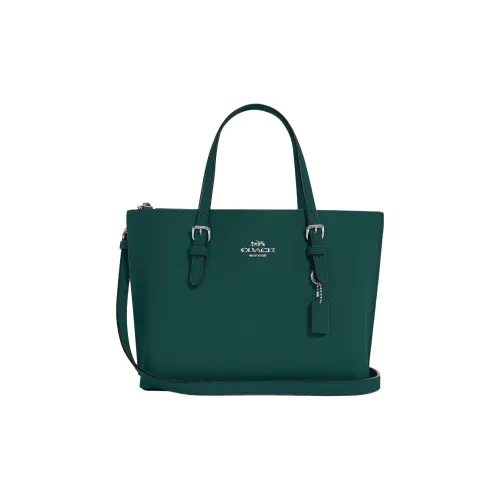 COACH Mollie Кожа Тоут Сумка Сумка для покупок Сумка через плечо Сумка на одно плечо Средняя Женская Яшма