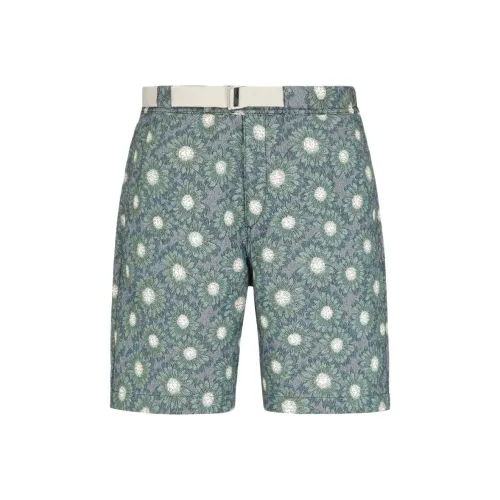 EMPORIO ARMANI Повседневные шорты Мужские Коричневые