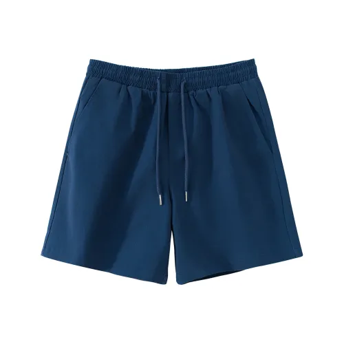 ASEDE Унисекс Повседневные шорты