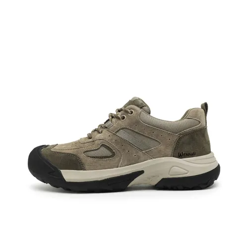 Wen Nai Casual Низкий Топ Khaki Мужской