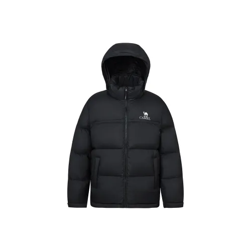 CAMEL Outdoor Multicolor Windproof и Waterproof С капюшоном Теплый Down Jacket Unisex