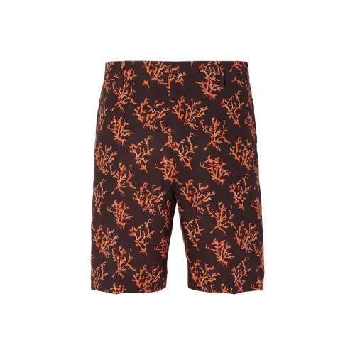 FENDI SS25 Повседневные шорты Мужские Коричневые