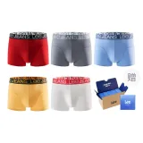 Белый+Теплый Манго Желтый+Синий+Серый+Красный