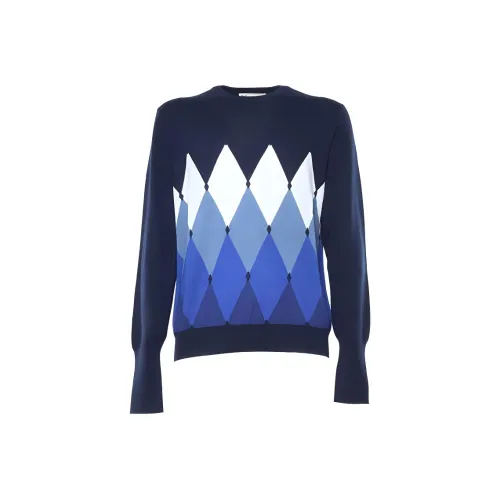 BALLANTYNE Синий Мужской Свитеры