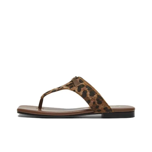 BASTO Резина Подошва Беззвучные Шлепанцы Женские Темно-Коричневый