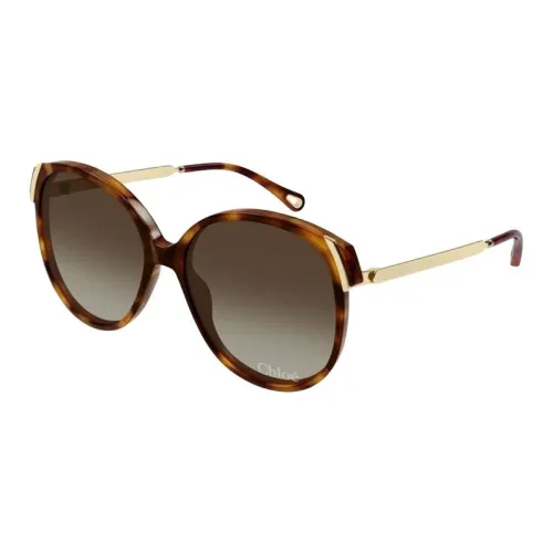 Chloe Ацетат OVAL SUNGLASSES Женские Черепаховый