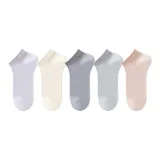 5C-Светлый Фиолетовый+Светлый Бежевый+Светлый Меланжевый Серый+Светлый Серый+Бежевый Красный